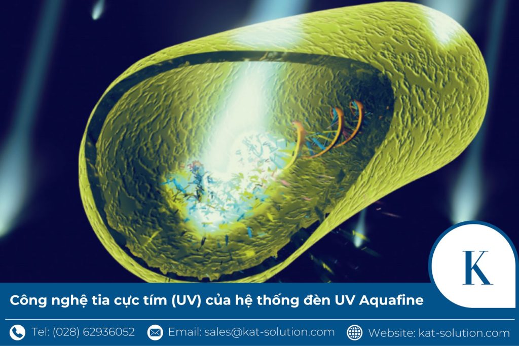 Công nghệ tia cực tím (UV) của hệ thống đèn UV Aquafine