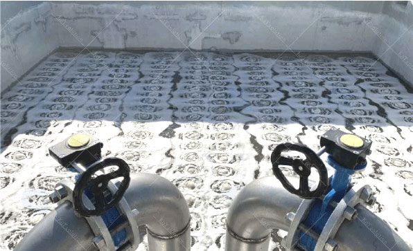 đĩa phân phối khí SSI