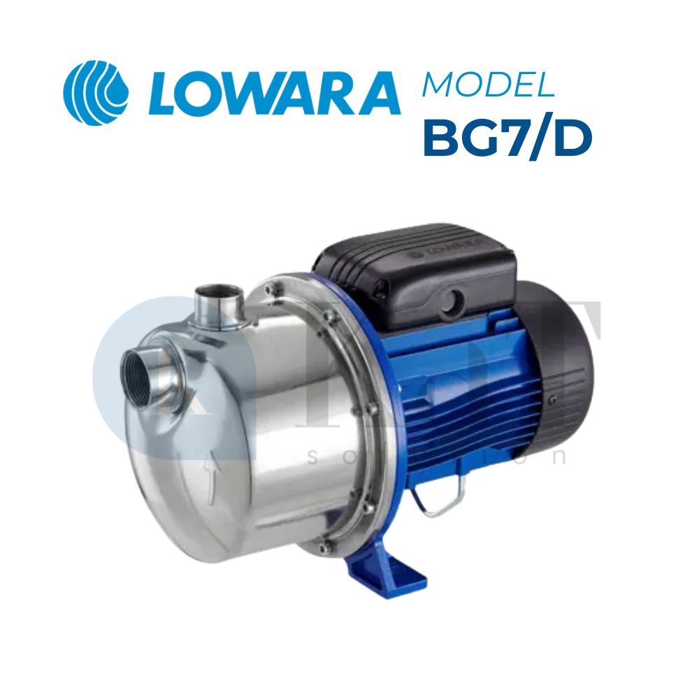 Bơm Lowara BG7/D